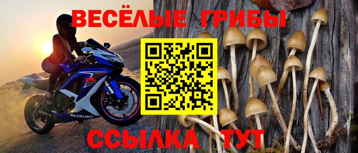 Псилоцибиновые грибы Cubensis  Вход с VPN  Псилоцибиновые грибы ЛСД  Урюпинск 